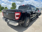 2021 F-150 Thumbnail 4