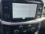 2021 F-150 Thumbnail 4