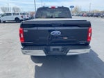 2021 F-150 Thumbnail 4
