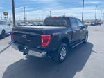 2021 F-150 Thumbnail 6