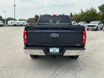2022 F-150 Thumbnail 4