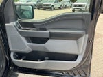 2022 F-150 Thumbnail 19
