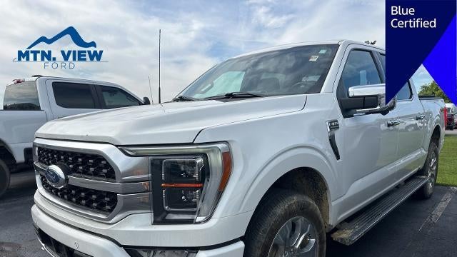 Preowned 2022 Ford F-150 XL for Sale