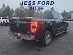 2022 F-150 Thumbnail 5