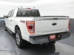 2022 F-150 Thumbnail 4