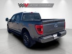 2022 F-150 Thumbnail 6