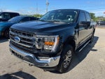 2022 F-150 Thumbnail 9