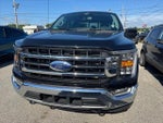 2022 F-150 Thumbnail 10