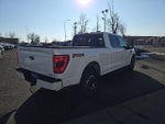 2022 F-150 Thumbnail 6