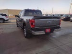 2022 F-150 Thumbnail 7