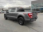 2022 F-150 Thumbnail 3