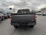 2022 F-150 Thumbnail 6