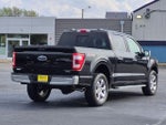 2022 F-150 Thumbnail 7