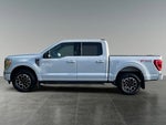 2022 F-150 Thumbnail 4