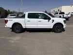 2023 F-150 Thumbnail 4