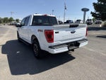 2023 F-150 Thumbnail 7