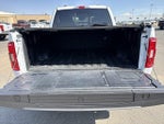 2023 F-150 Thumbnail 10