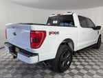 2023 F-150 Thumbnail 7