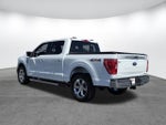 2023 F-150 Thumbnail 6
