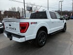 2023 F-150 Thumbnail 4