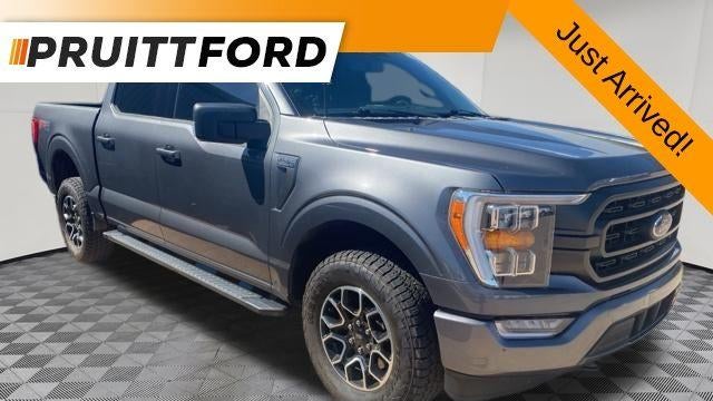 Preowned 2023 Ford F-150 XL for Sale