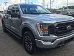 2023 F-150 Thumbnail 6