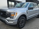 2023 F-150 Thumbnail 8