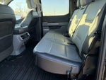 2023 F-150 Thumbnail 8