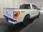 2023 F-150 Thumbnail 4