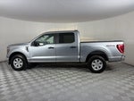 2023 F-150 Thumbnail 4