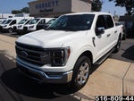 2023 F-150 Thumbnail 9