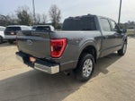 2023 F-150 Thumbnail 5