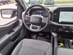 2023 F-150 Thumbnail 13