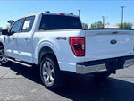 2023 F-150 Thumbnail 5