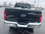2023 F-150 Thumbnail 9