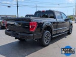 2023 F-150 Thumbnail 3