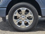 2023 F-150 Thumbnail 11
