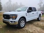 2023 F-150 Thumbnail 4