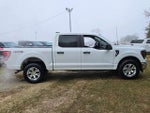 2023 F-150 Thumbnail 9