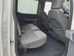2023 F-150 Thumbnail 10