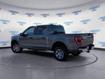 2023 F-150 Thumbnail 9