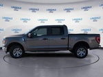 2023 F-150 Thumbnail 10