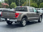 2023 F-150 Thumbnail 14