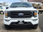 2023 F-150 Thumbnail 8