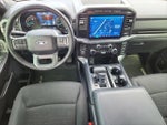 2023 F-150 Thumbnail 12