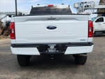 2023 F-150 Thumbnail 14