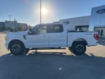 2023 F-150 Thumbnail 8