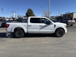 2023 F-150 Thumbnail 4