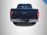 2023 F-150 Thumbnail 10