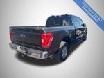 2023 F-150 Thumbnail 11